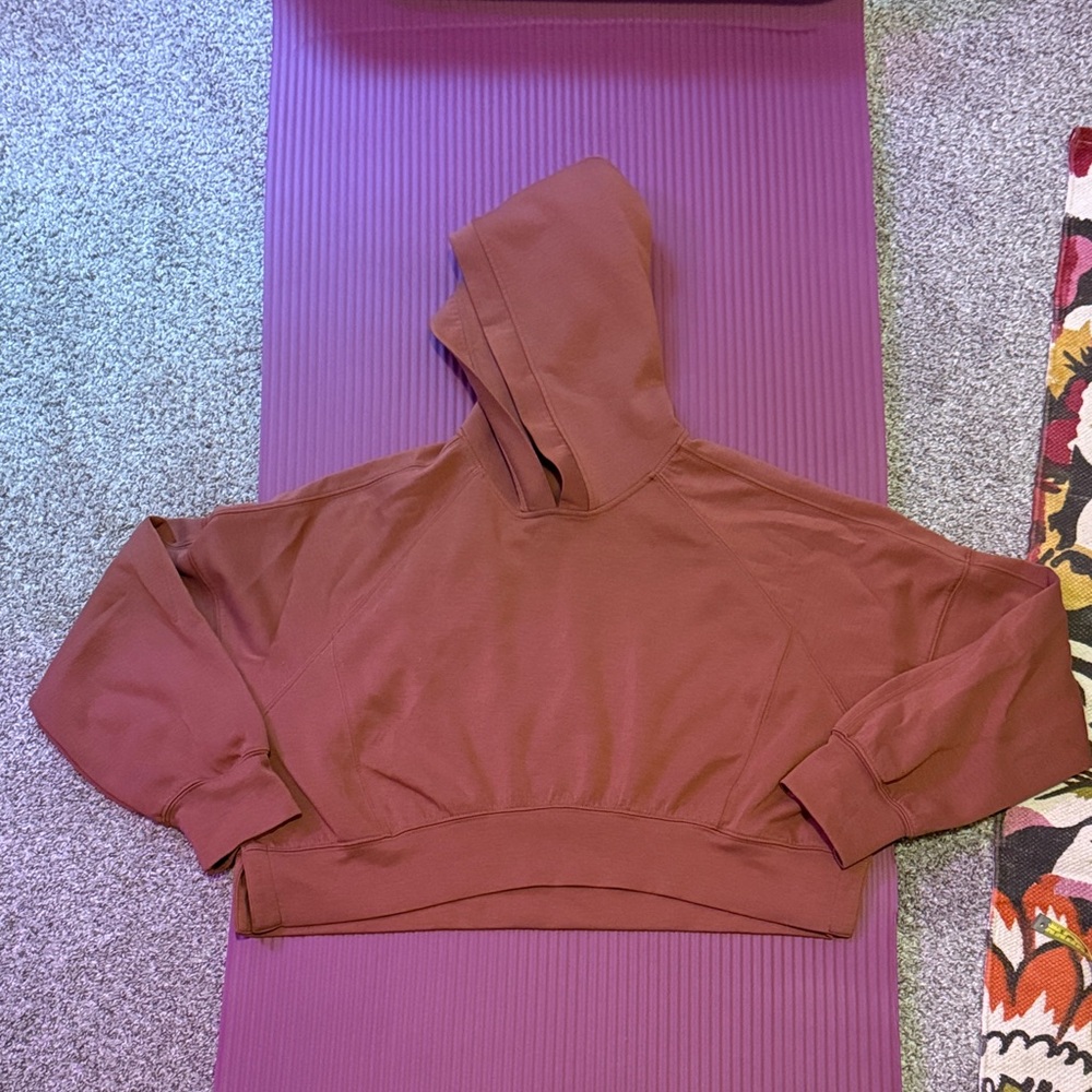 Abercrombie & Fitch Maroon Hoodie